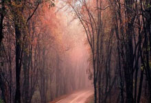 斯诺克世锦赛前仅剩一场排名赛，为下周的斯诺克巡回锦标赛.